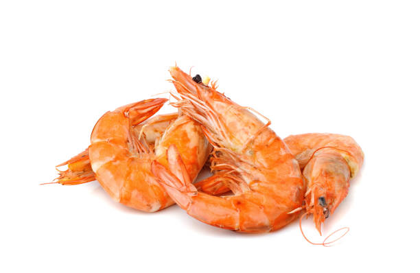 Seafood