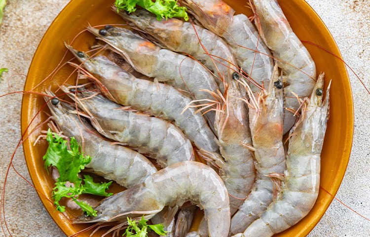 Seafood