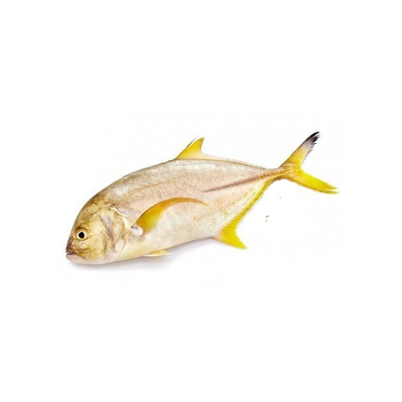 Seafood